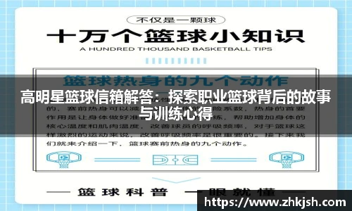 星空·综合体育官网入口