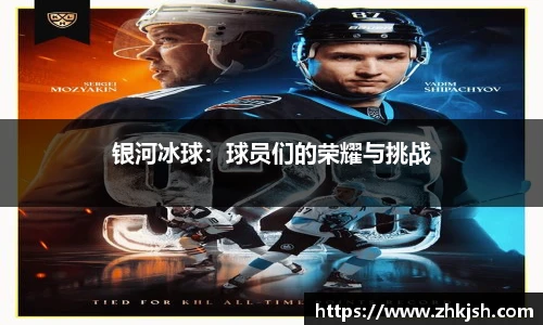 星空体育平台官网入口