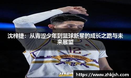 星空体育平台官网入口