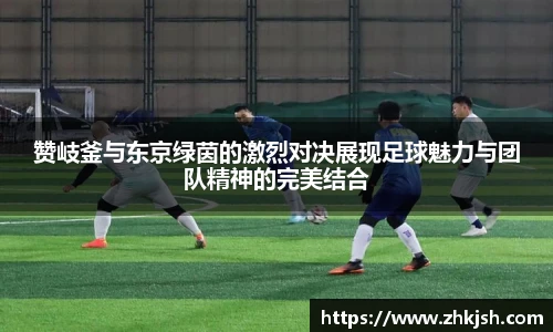 星空·综合体育官网入口