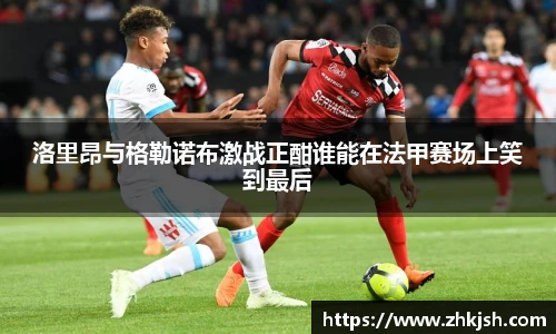 星空体育平台官网入口