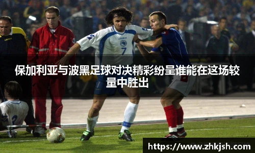 星空体育平台官网入口